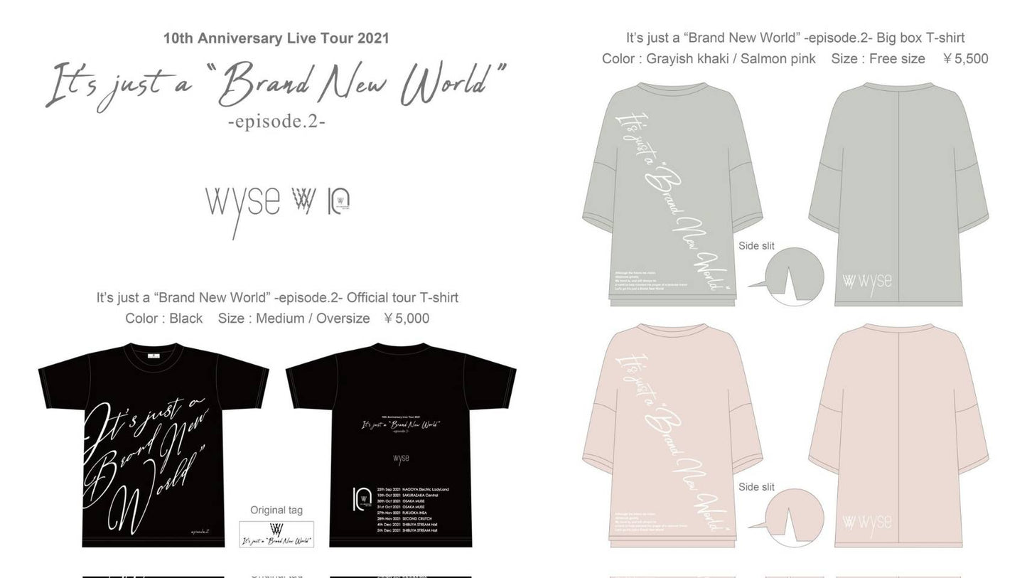 Big box T-shirt(サーモンピンク)