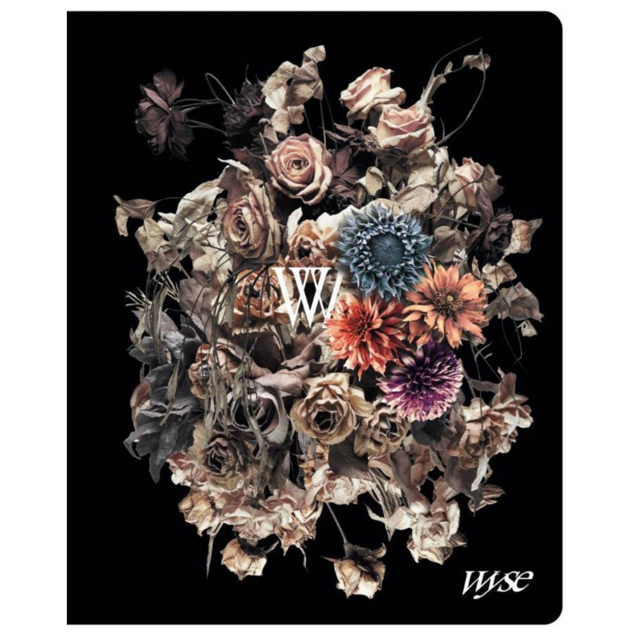 ブロマイド風トレーディングカードホルダー